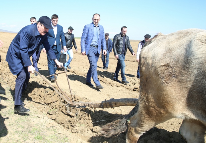 Глава Дагестана Рамазан Абдулатипов проложил конным плугом символическую «первую борозду» в Кайтагском районе