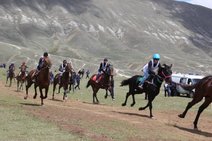 Традиционные конные скачки состоялись в честь Дня Победы (2016)