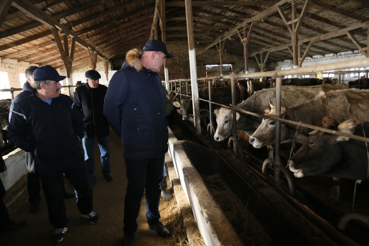 Нурмагомед Задиев посетил прикутанные хозяйства  Бабаюртовской зоны отгонного животноводства. (22.01.2019)