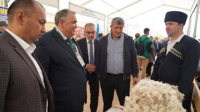 Дагестанские животноводы признаны лучшими на Всероссийской выставке овец и коз