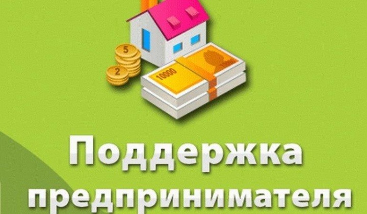 Почти 500 начинающих предпринимателей в Дагестане получат гранты