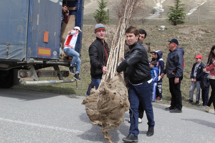 Активисты «Школы помощника Президента» приняли участие в посадке деревьев