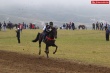 В районе прошли конные скачки в честь Муфтия Республики Дагестан - Ахмад – хаджи Абдулаева