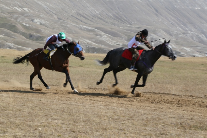 Наездники из северокавказских республик выступили на конных скачках в честь муфтия Дагестана в Хунзахском районе