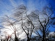 В Дагестане прогнозируется усиление ветра