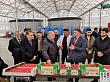 Глава Минкавказа России Сергей Чеботарёв посетил тепличный комплекс ООО «Агромир».