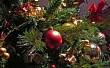 Рождественская архиерейская елка пройдет в столице Дагестана